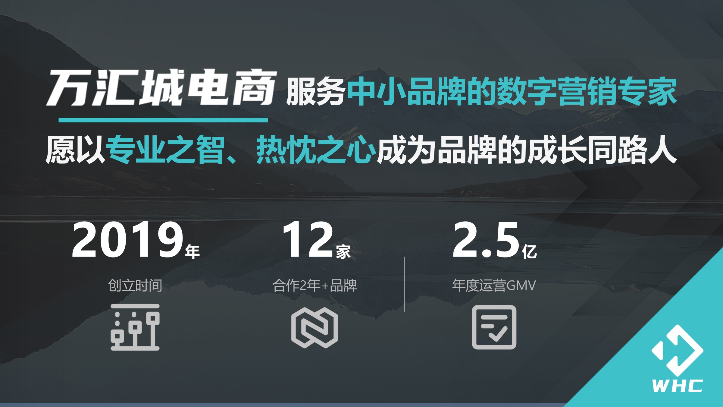 品牌数据展示