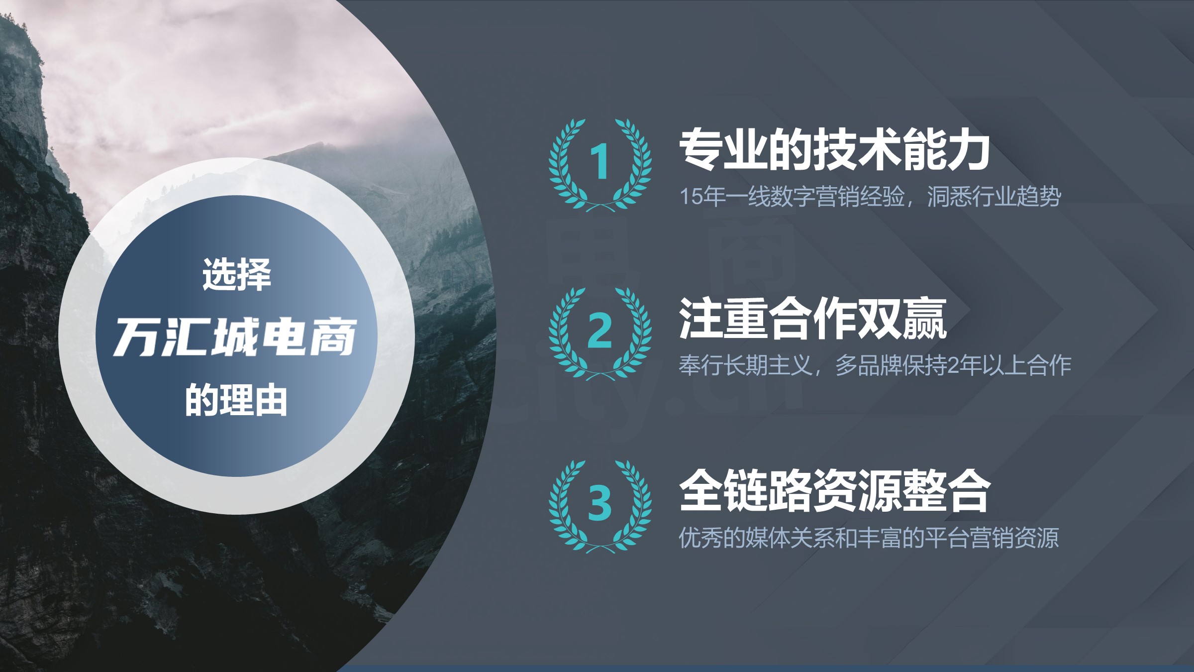 技术能力说明